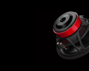 Subwoofer